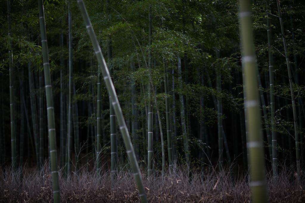 Kyoto Fushimi Ohana Muko Luaran gambar