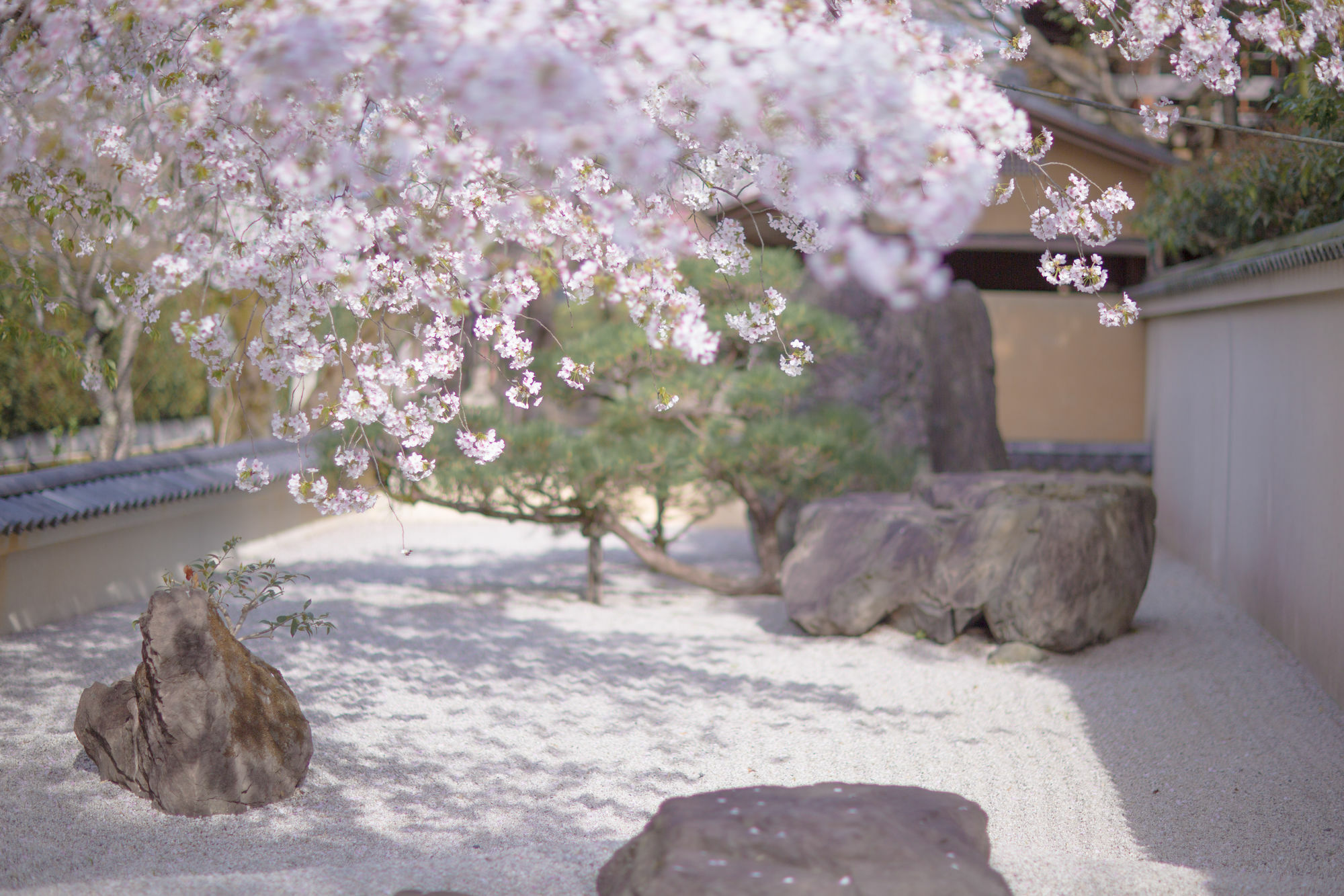 Kyoto Fushimi Ohana Muko Luaran gambar